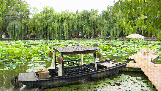 8099999街头巷尾微信