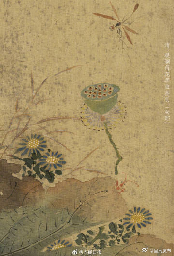 呈贡发布