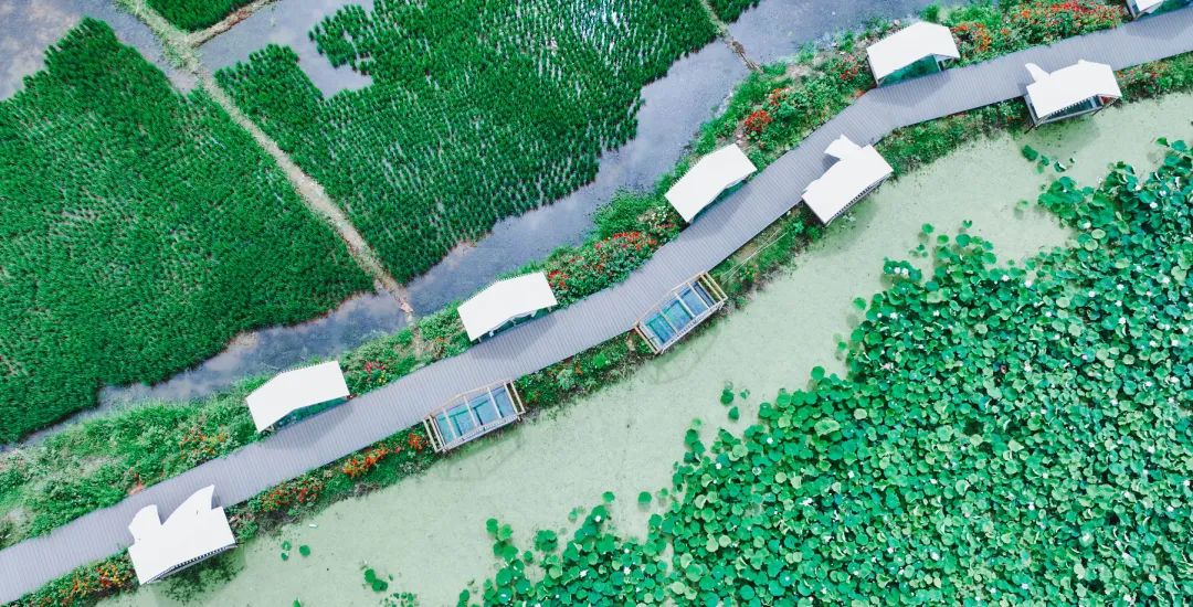 晋宁诗意的栖居地