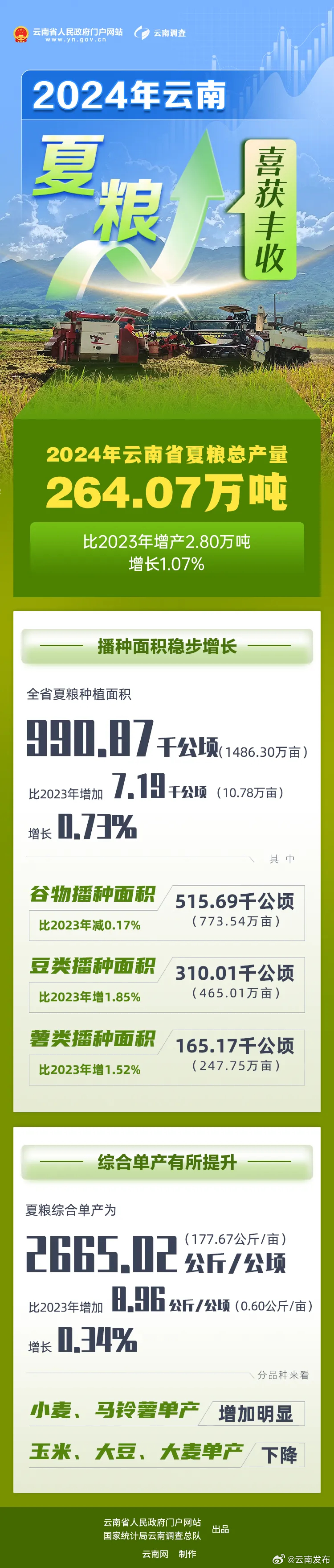 264.07万吨！2024年云南夏粮喜获丰收