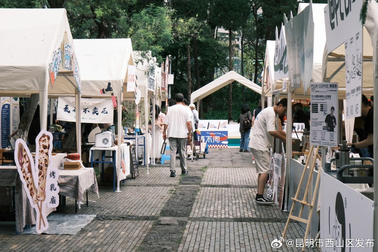 昆明市西山区发布