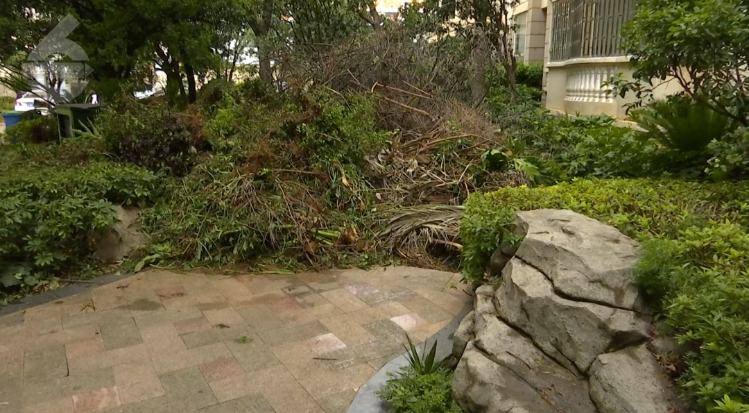 8099999街头巷尾微信