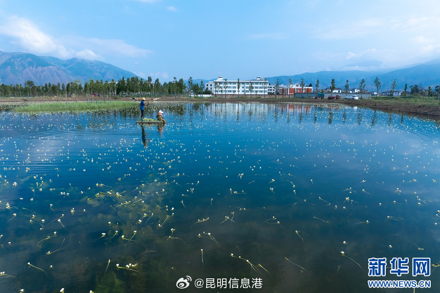 昆明信息港微博