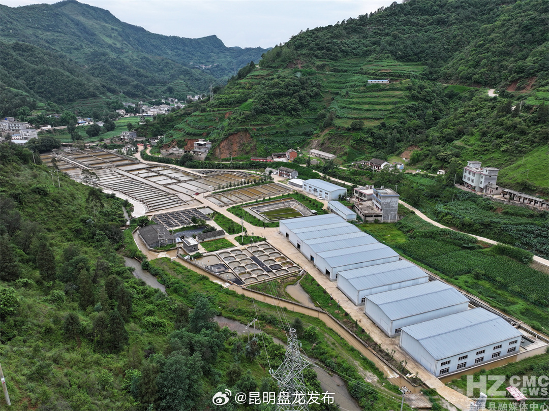 会泽鲟鱼子酱：一颗来自云端上的尊享