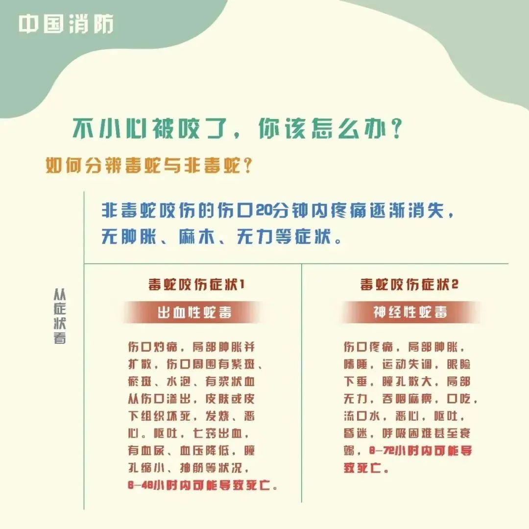 8099999街头巷尾微信