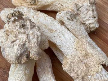 竹荪是刮油神器 