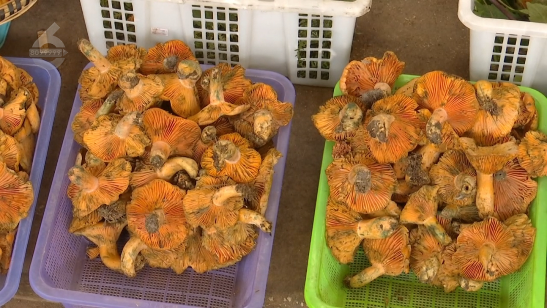 8099999街头巷尾微信