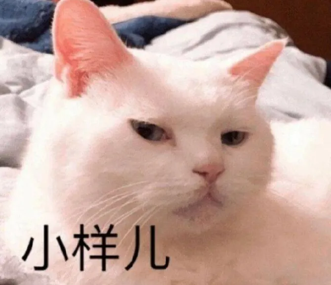 8099999街头巷尾微信