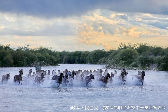 昆明经济技术开发区管委会