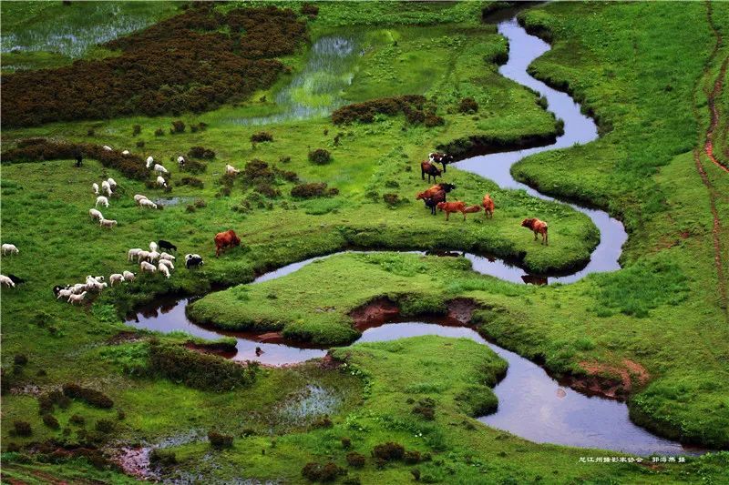 云南省文化和旅游厅