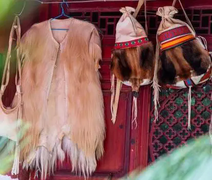 云南省文化和旅游厅