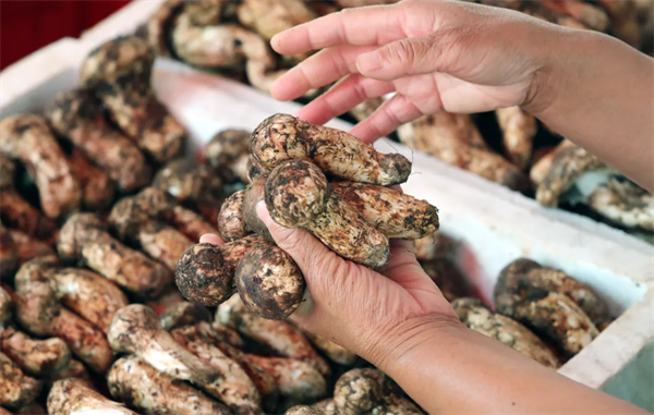 云南省文化和旅游厅