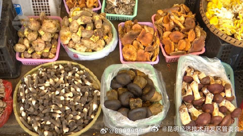 昆明经济技术开发区管委会