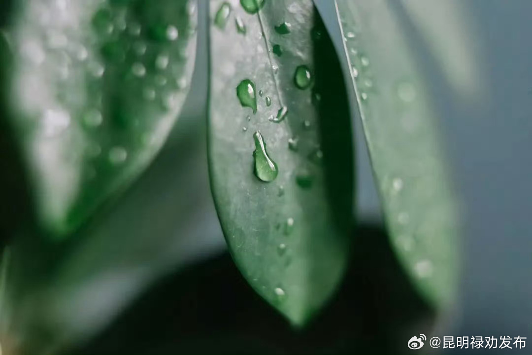 中医从3个方面判断是否有湿气