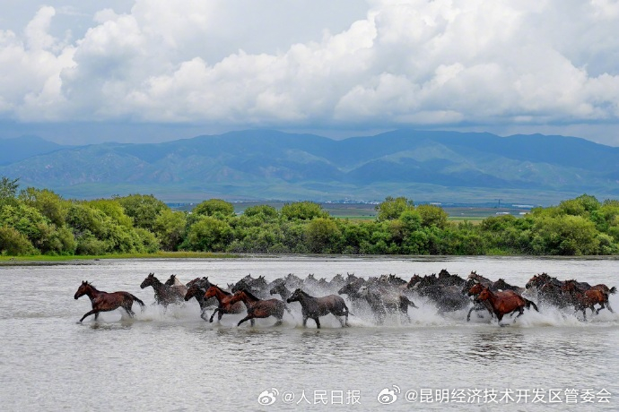 昆明经济技术开发区管委会