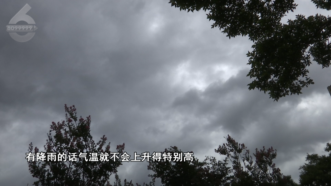 8099999街头巷尾微信