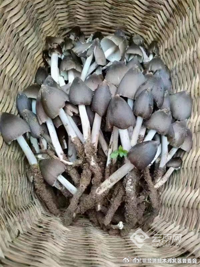 昆明经济技术开发区管委会