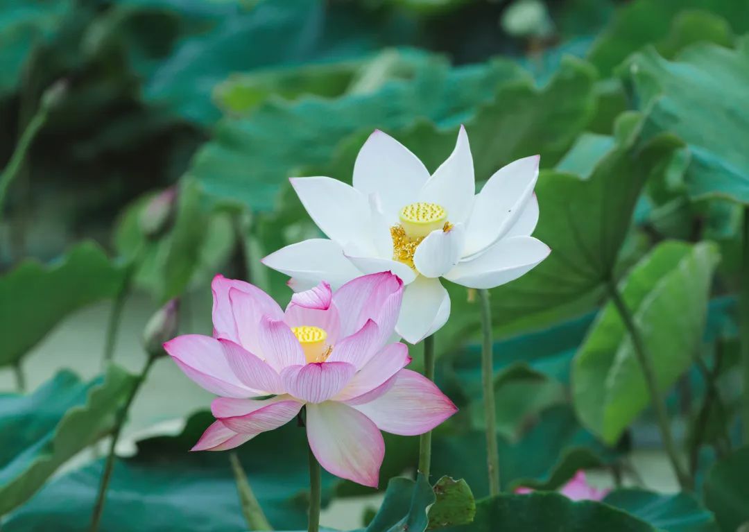 晋宁诗意的栖居地