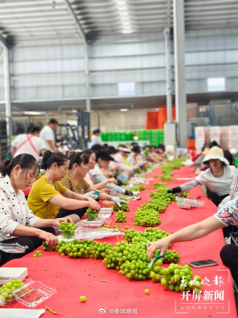 水果之乡宾川：实现水果人均1亩、产值人均2.5个“W”