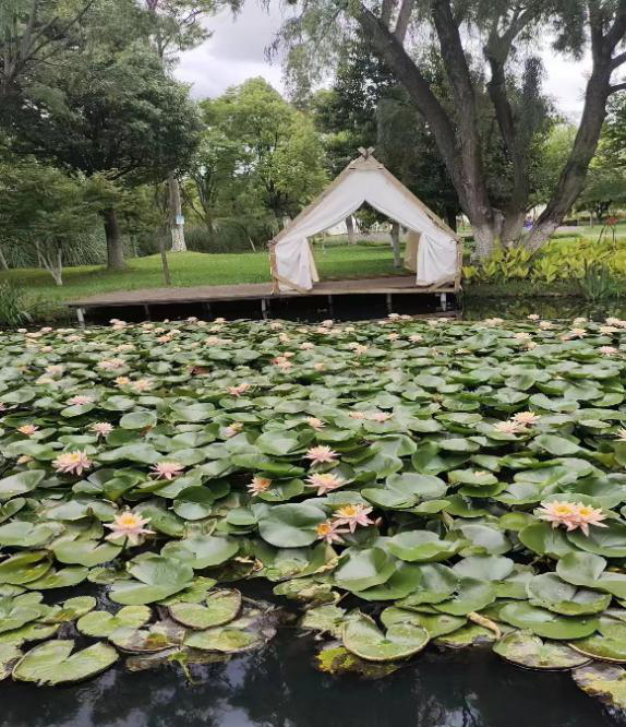 昆明国家高新区发布