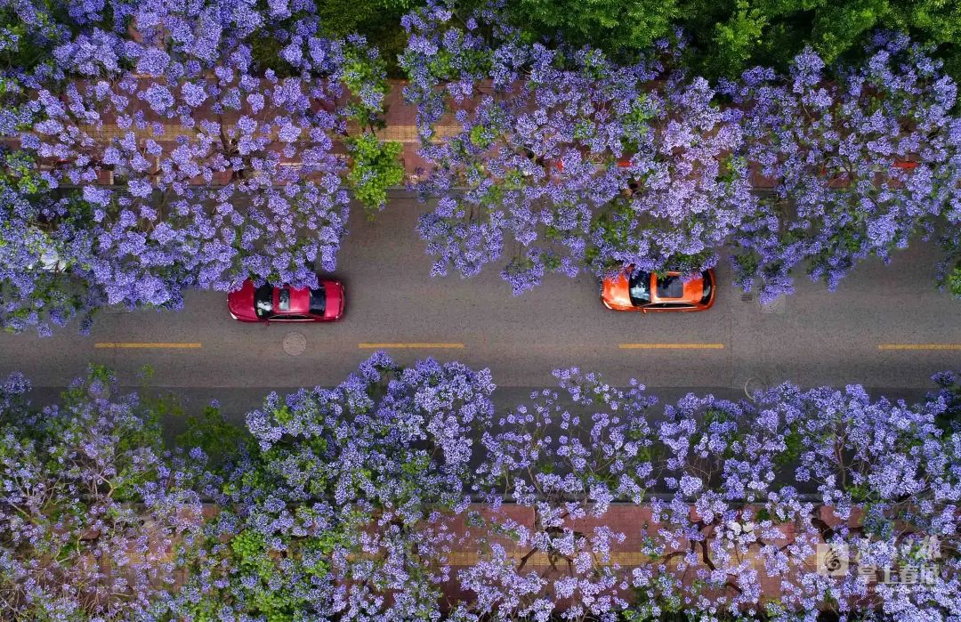 FM954昆明汽车音乐广播