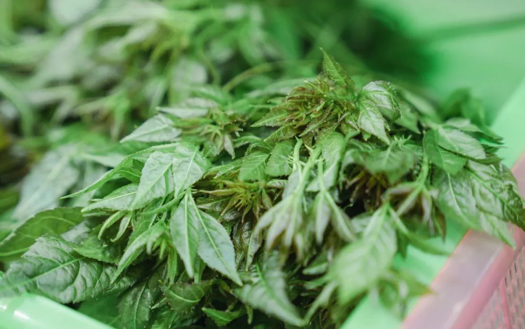 晋宁诗意的栖居地