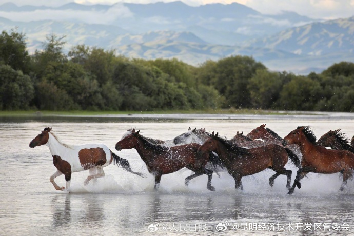 昆明经济技术开发区管委会