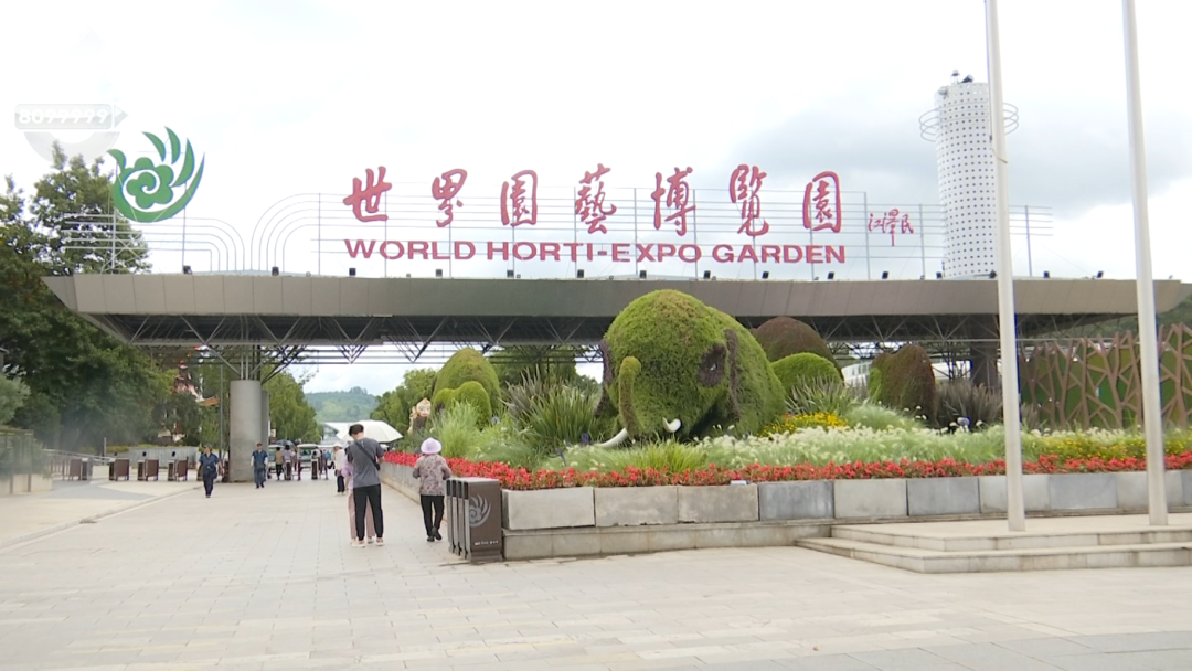 8099999街头巷尾微信