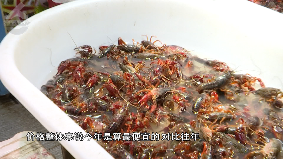 8099999街头巷尾微信