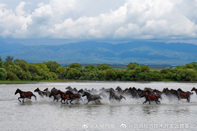 昆明经济技术开发区管委会