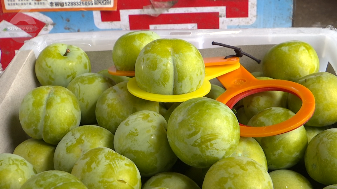 8099999街头巷尾微信