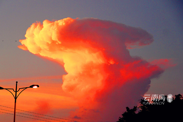 云南省文化和旅游厅