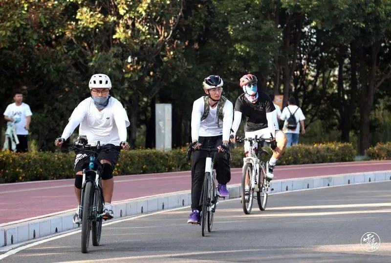 云南省文化和旅游厅