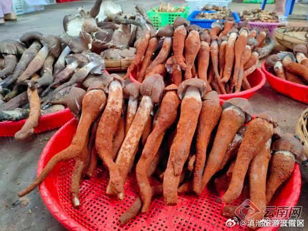 滇池旅游度假区