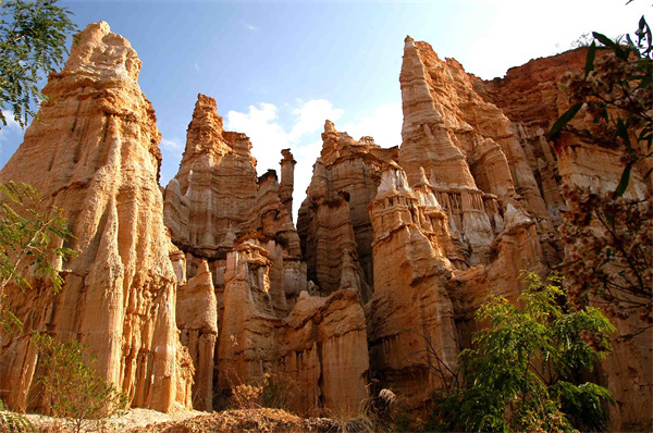 云南省文化和旅游厅