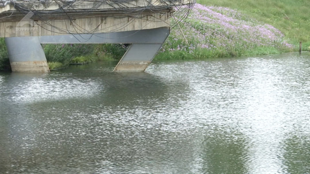 8099999街头巷尾微信