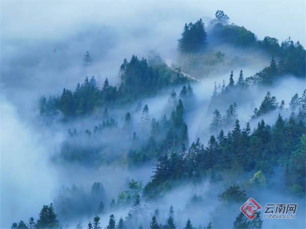 云南省文化和旅游厅