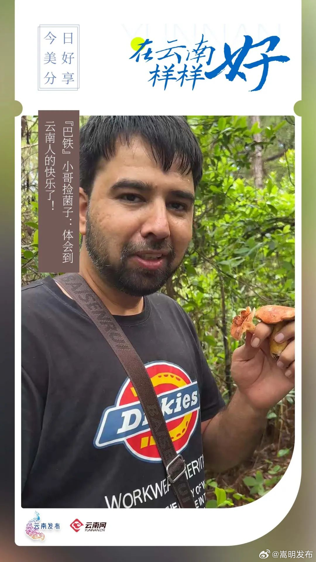 在云南样样好｜“巴铁”小哥捡菌子：体会到云南人的快乐了！