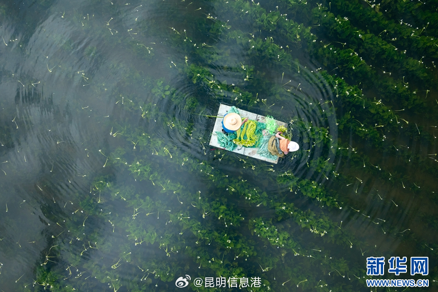 昆明信息港微博