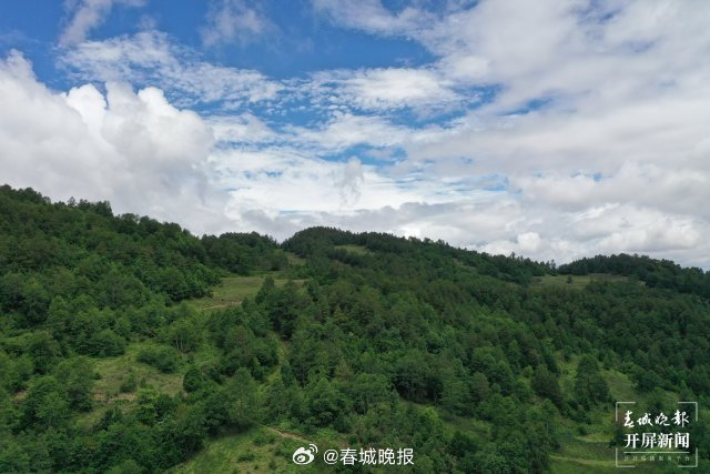 云龙县关坪乡：培植多元特色产业 拓宽群众增收路