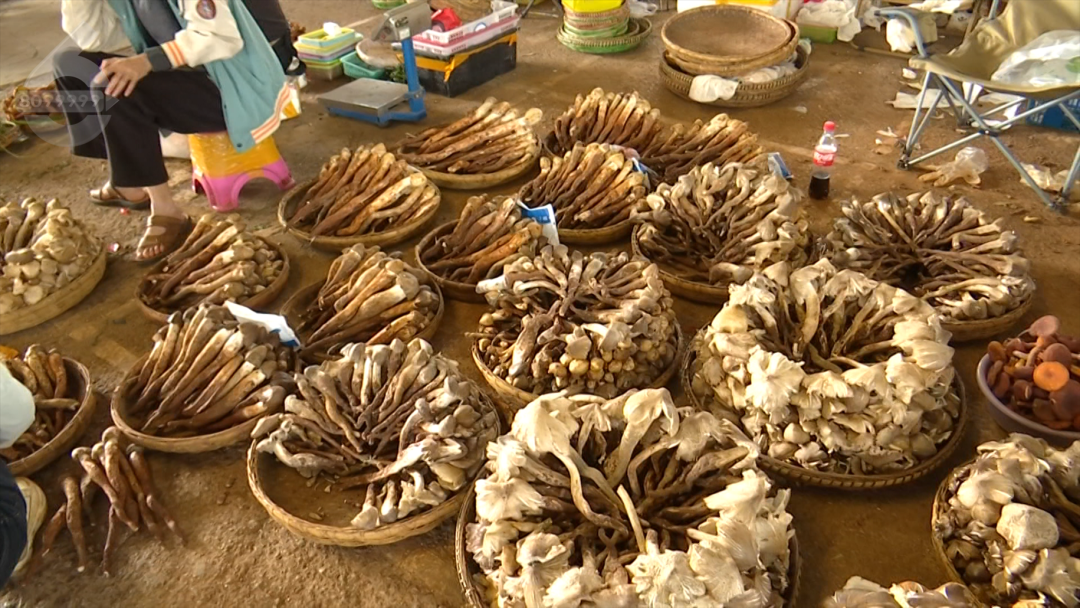 8099999街头巷尾微信