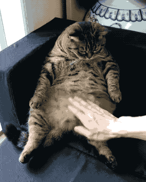 4类食物最容易让肚子长肉