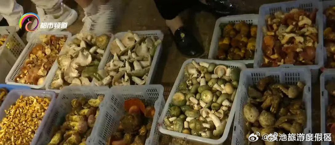 滇池旅游度假区