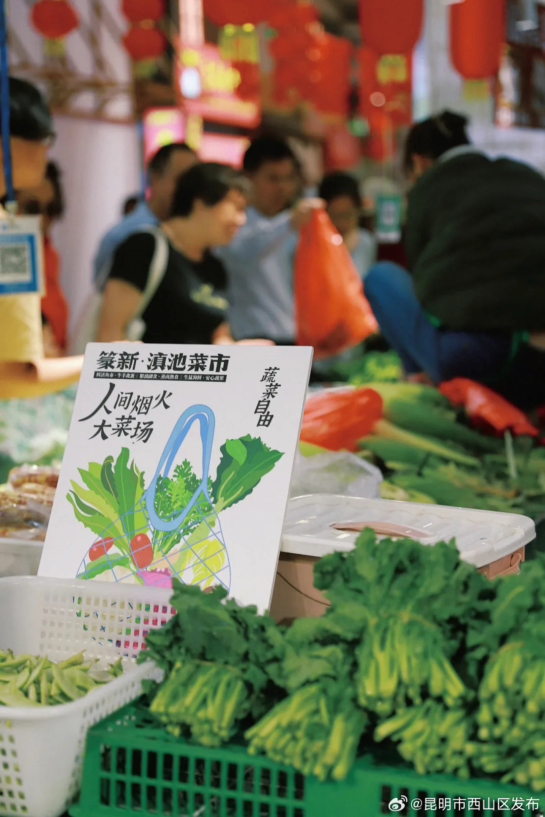 昆明市西山区发布