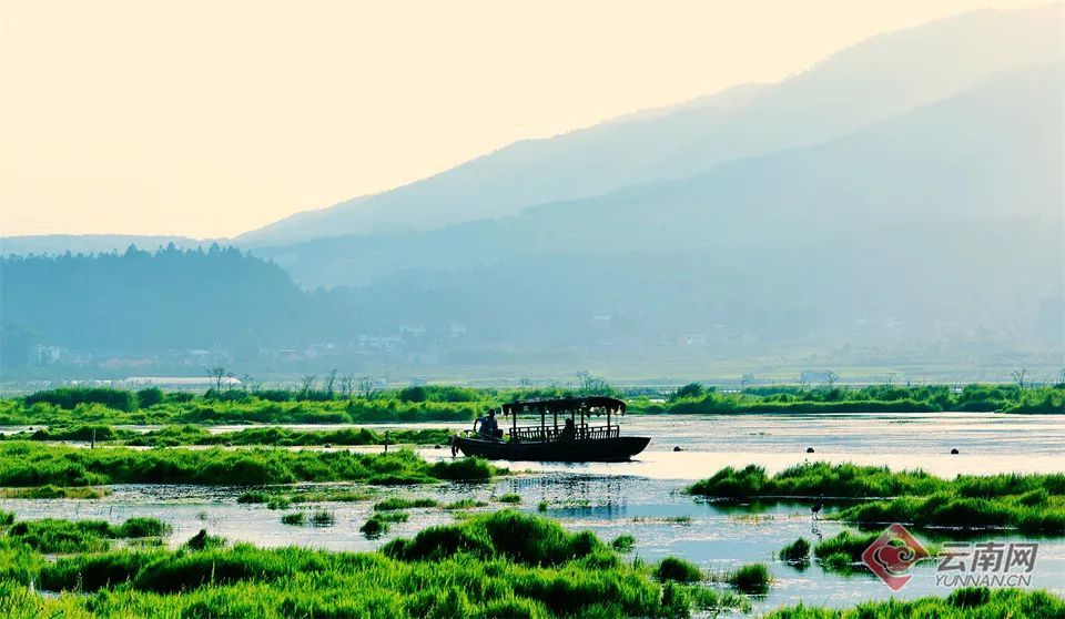 云南省文化和旅游厅