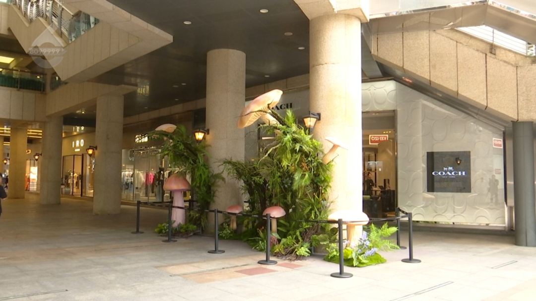 8099999街头巷尾微信