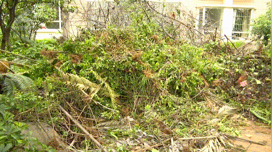 8099999街头巷尾微信