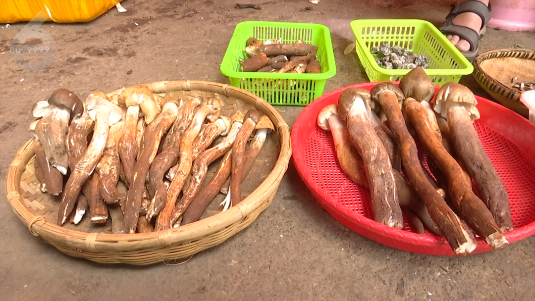 8099999街头巷尾微信