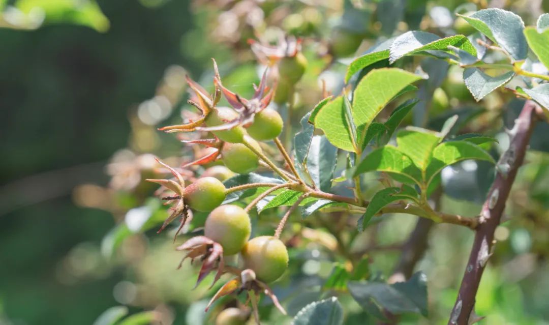 晋宁诗意的栖居地