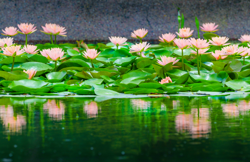 昆明国家高新区发布